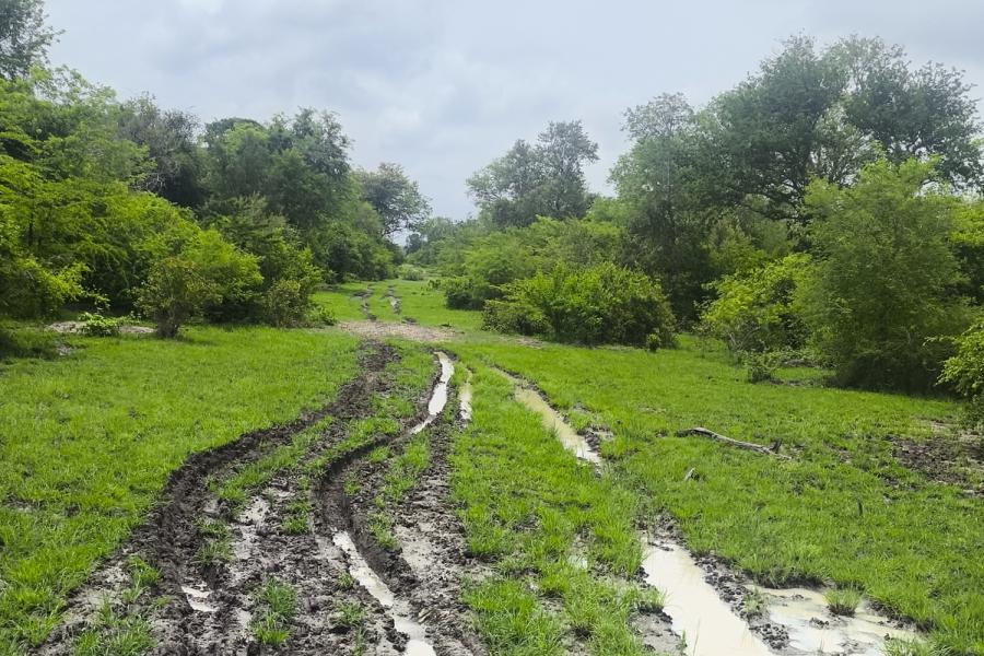 Waterlogging